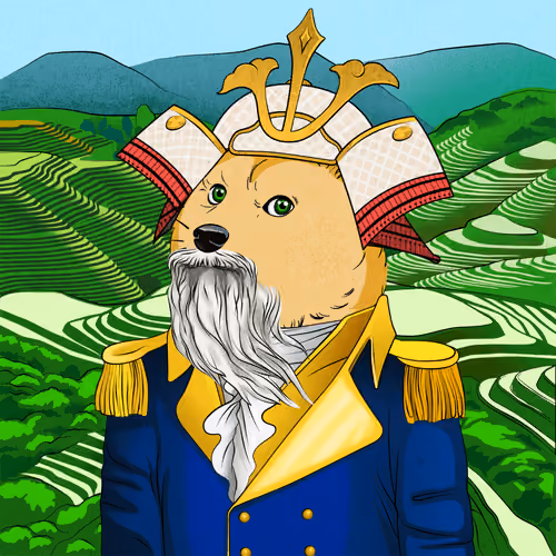 The Doge Academy #236