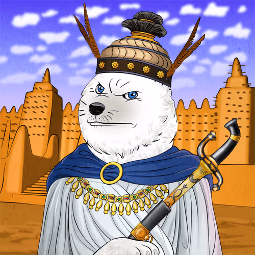 Dogeacademy