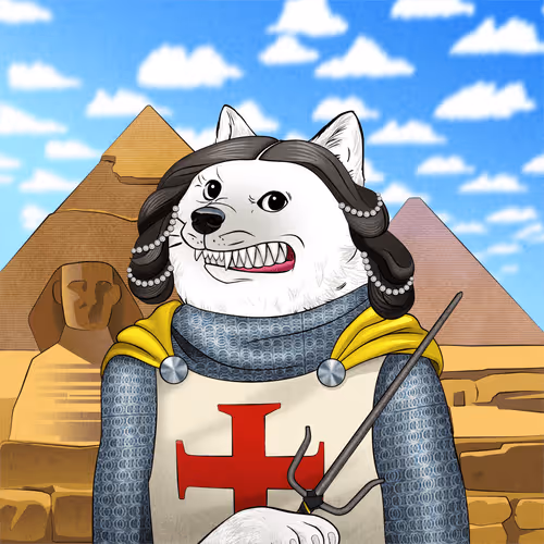 The Doge Academy #285