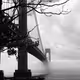 The Narrows