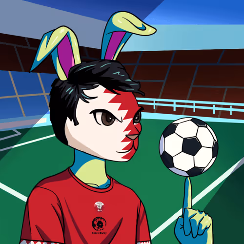 SoccerBunny#510
