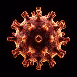 Hanta Virus #940