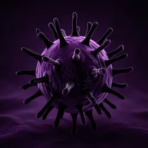 Hantavirus Nft