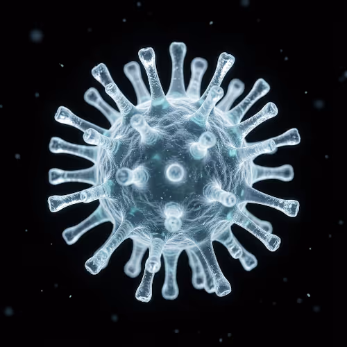 Hantavirus Nft