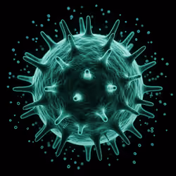 Hanta Virus #1980