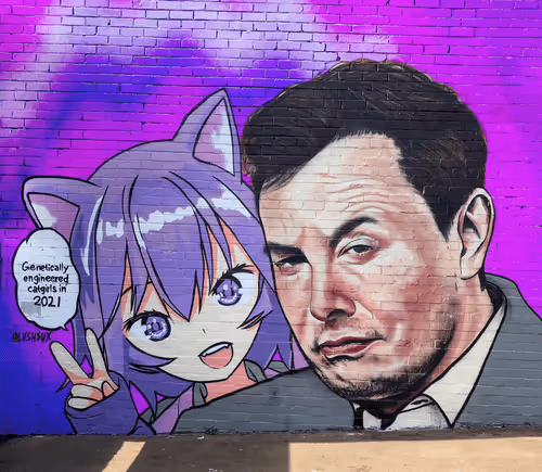 Lushsux