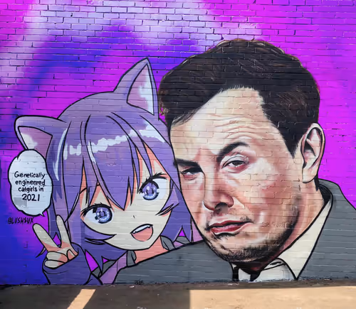 Item #44800050040 Media