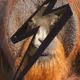 81