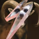 75