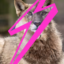 80