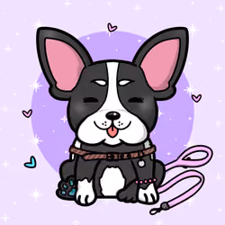Fluffles