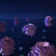 ETERNAL BLOOM 2.0