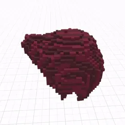 Cryptovoxel Wearables
