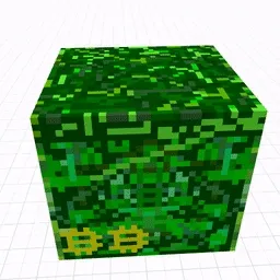 Cryptovoxel Wearables
