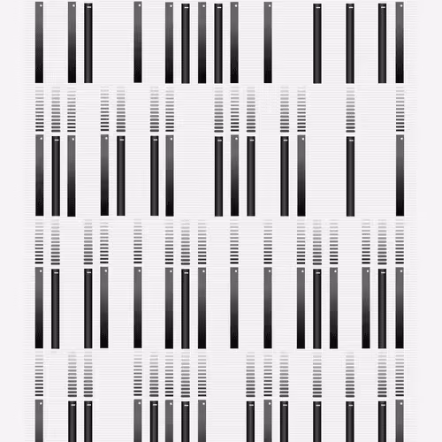 Algorithm 5