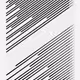 244