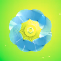 244