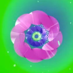 243