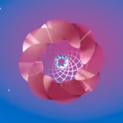 62
