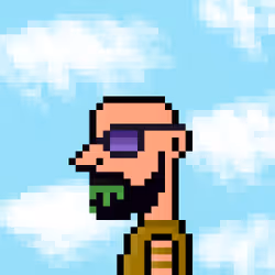5202
