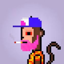SkelePepeHumanPixelPocalypse #4905