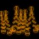 The Tsotsil Squiggles