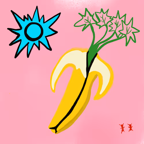 New Beginnings - ik3u6CI3zR