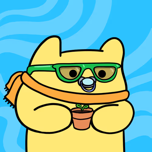 Coolmans Universe