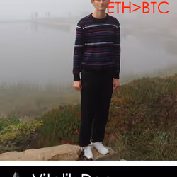 VitalikDao #7