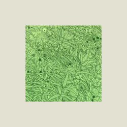 Grass.js