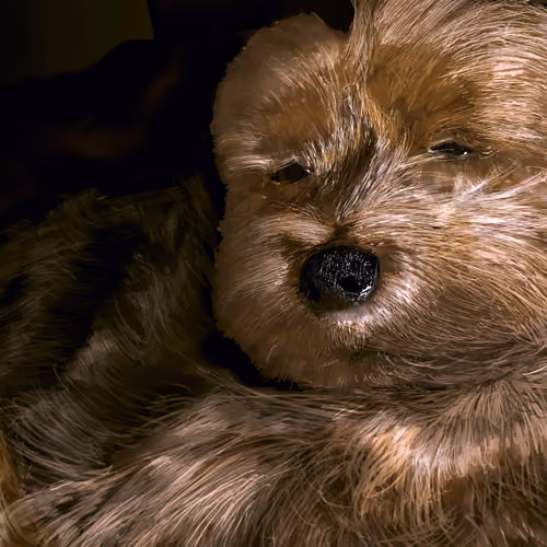 Drowsiness