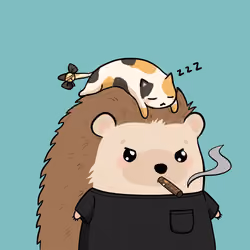 Hedgies Club VVIP #4004