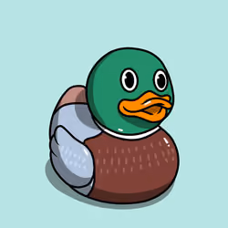 531
