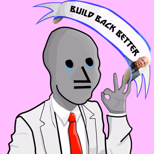Npc Ers