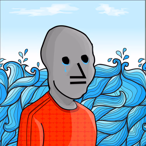 Npc Ers