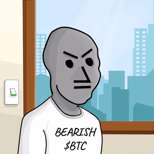 Npc Ers