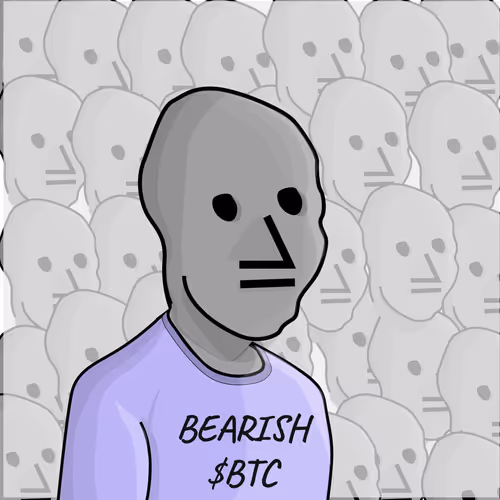 Npc Ers