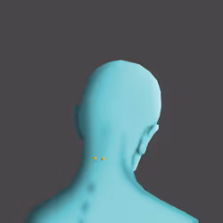 97