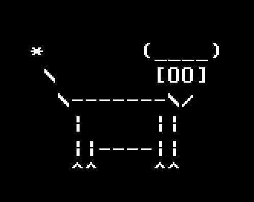 Cows 6