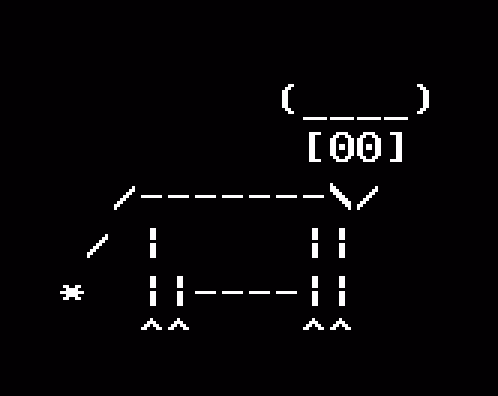Cows 6