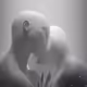 12900030006