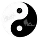 Yin Yang live