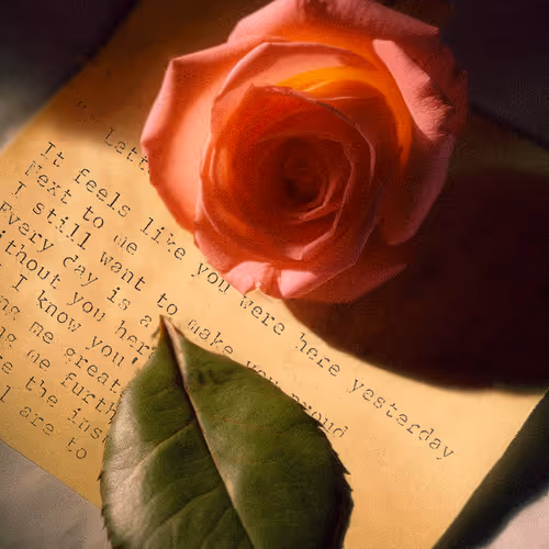 Your Flowers Editions