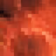 494