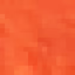 504