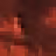 491