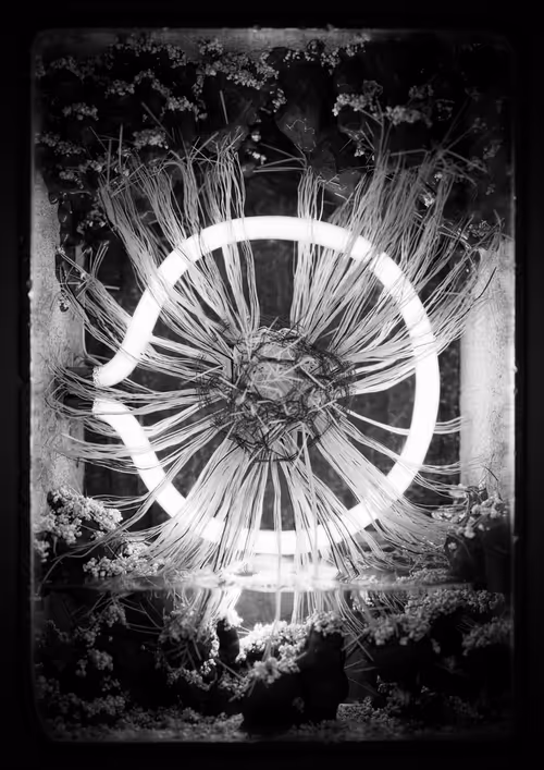 Item #3835200801 Media