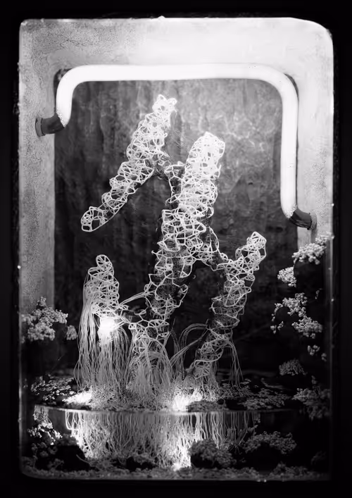 Item #3540320061 Media