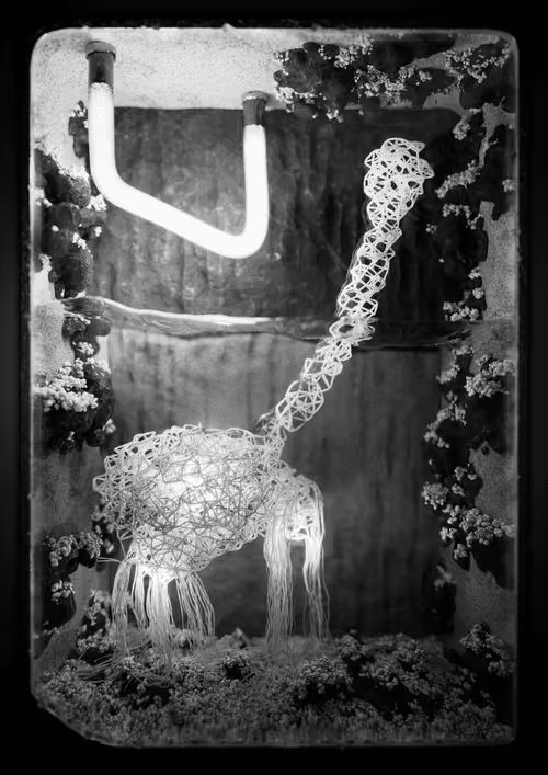 Item #2862670621 Media