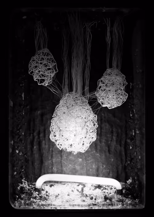 Item #658198800 Media